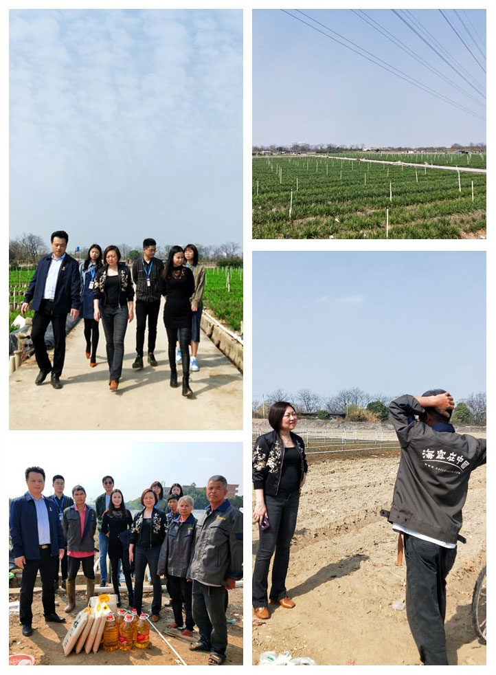 必发7790(中国区)电子集团-线上平台登录入口