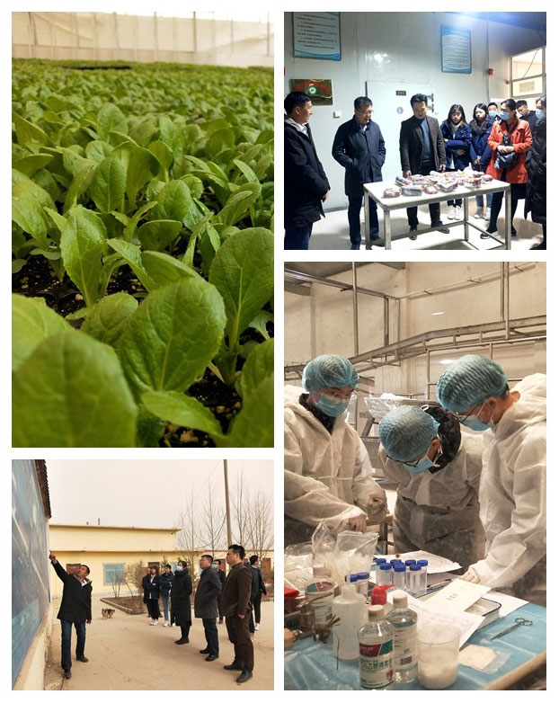 必发7790(中国区)电子集团-线上平台登录入口