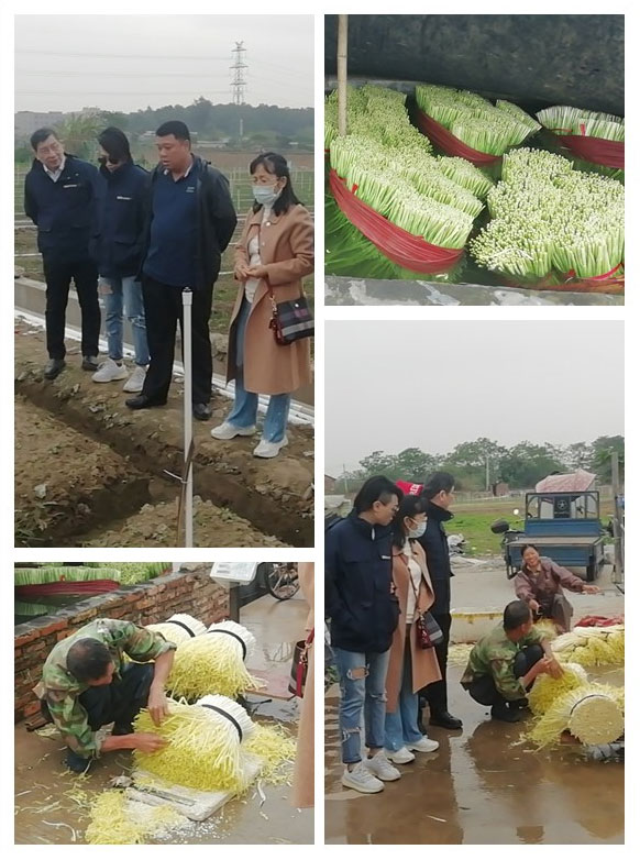 必发7790(中国区)电子集团-线上平台登录入口