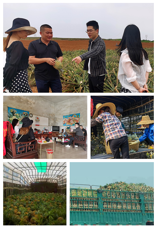 必发7790(中国区)电子集团-线上平台登录入口