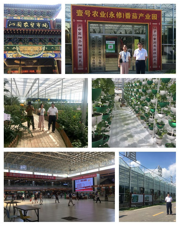 必发7790(中国区)电子集团-线上平台登录入口