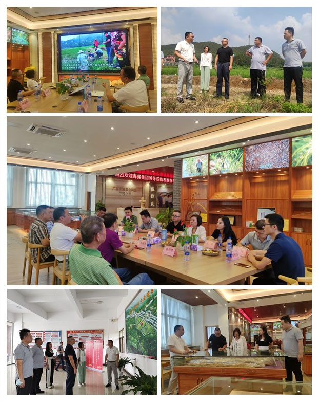 必发7790(中国区)电子集团-线上平台登录入口