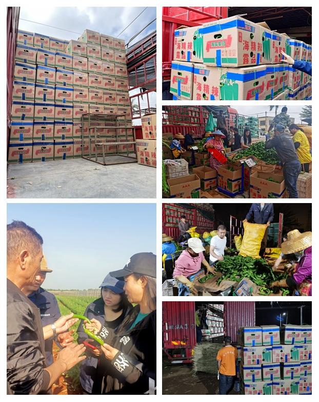 必发7790(中国区)电子集团-线上平台登录入口