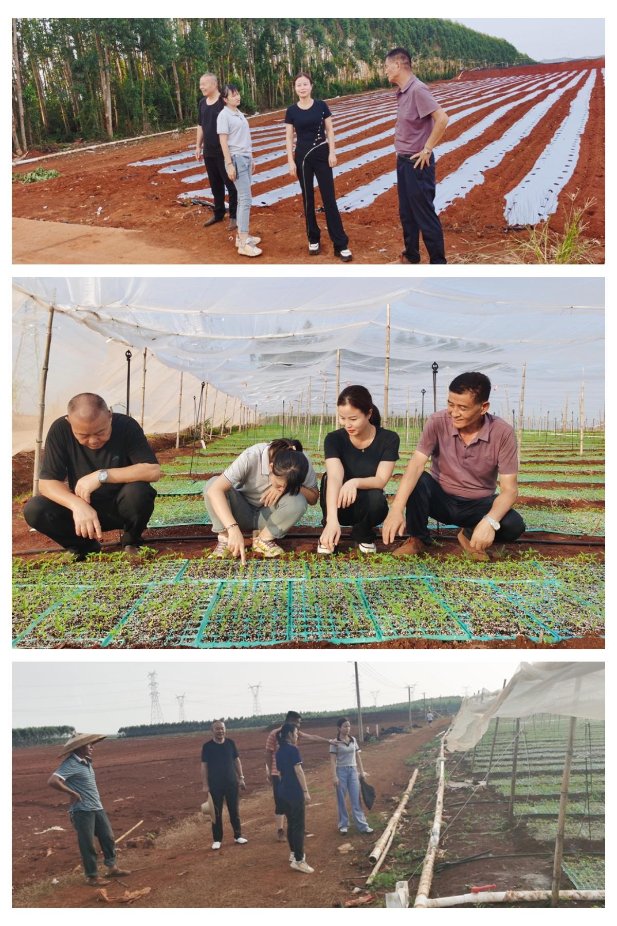 必发7790(中国区)电子集团-线上平台登录入口