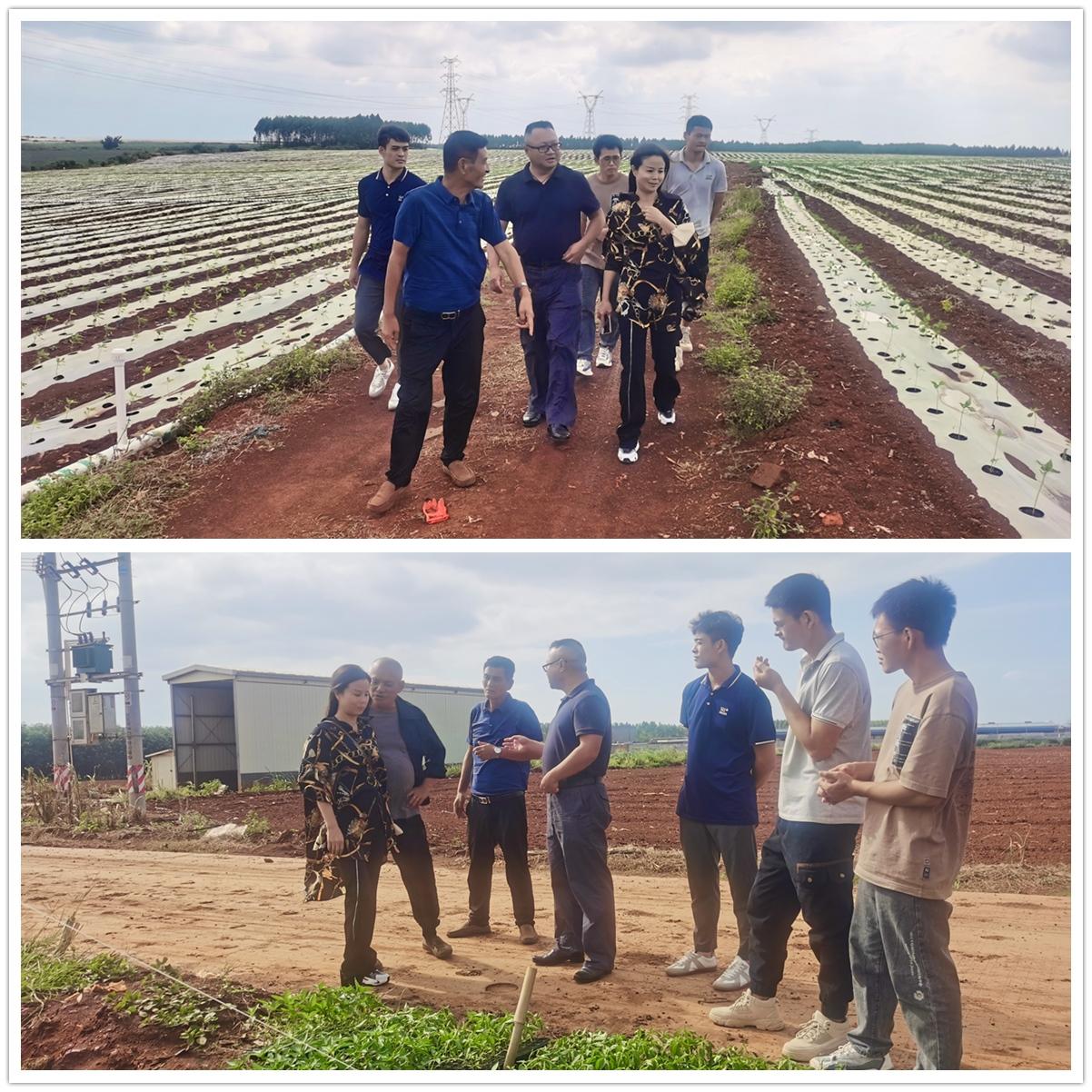 必发7790(中国区)电子集团-线上平台登录入口