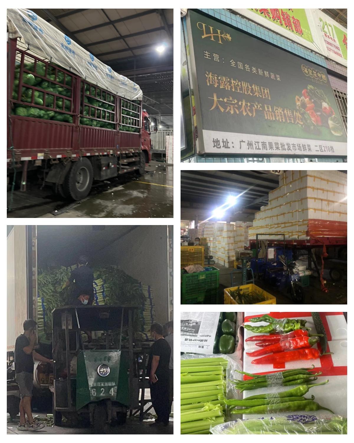 必发7790(中国区)电子集团-线上平台登录入口