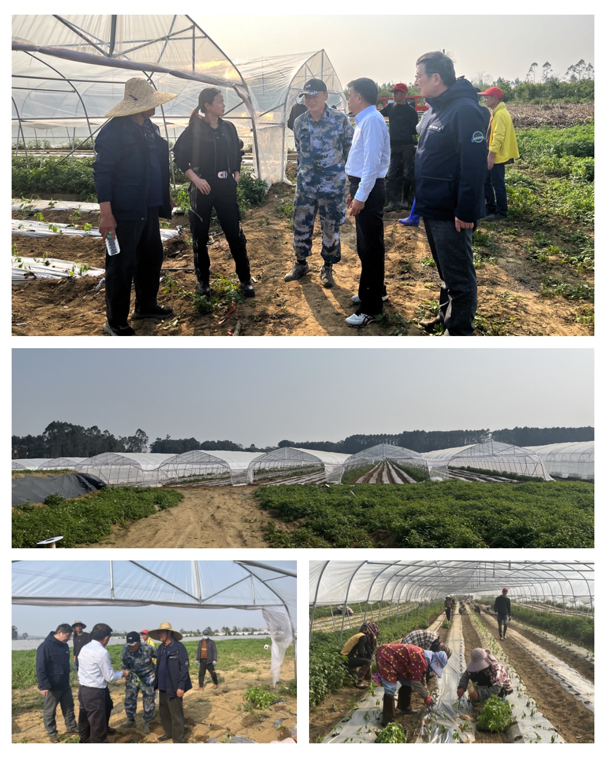 必发7790(中国区)电子集团-线上平台登录入口