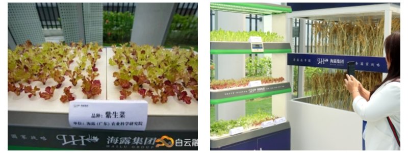 必发7790(中国区)电子集团-线上平台登录入口