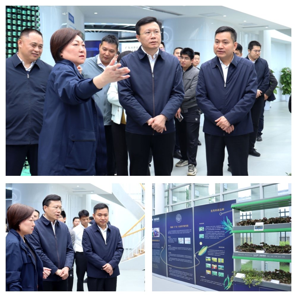 必发7790(中国区)电子集团-线上平台登录入口