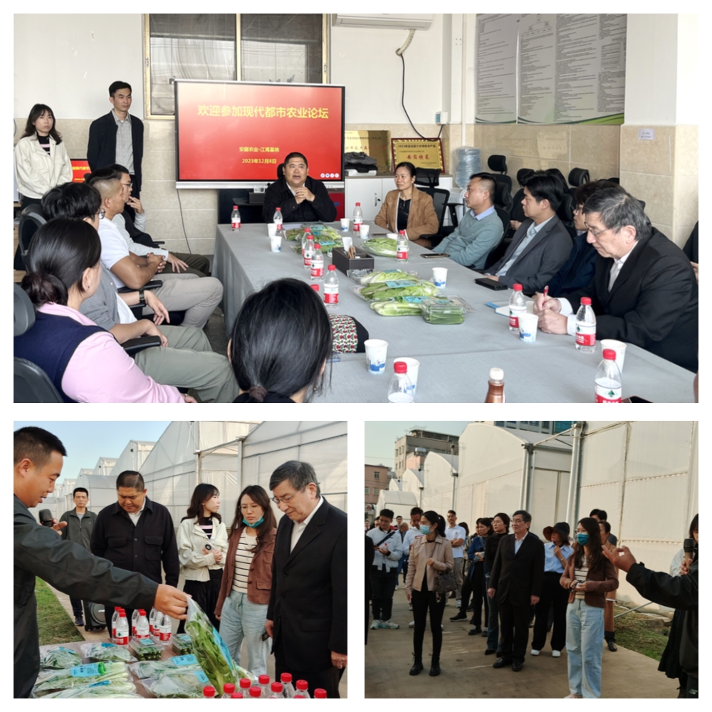 必发7790(中国区)电子集团-线上平台登录入口