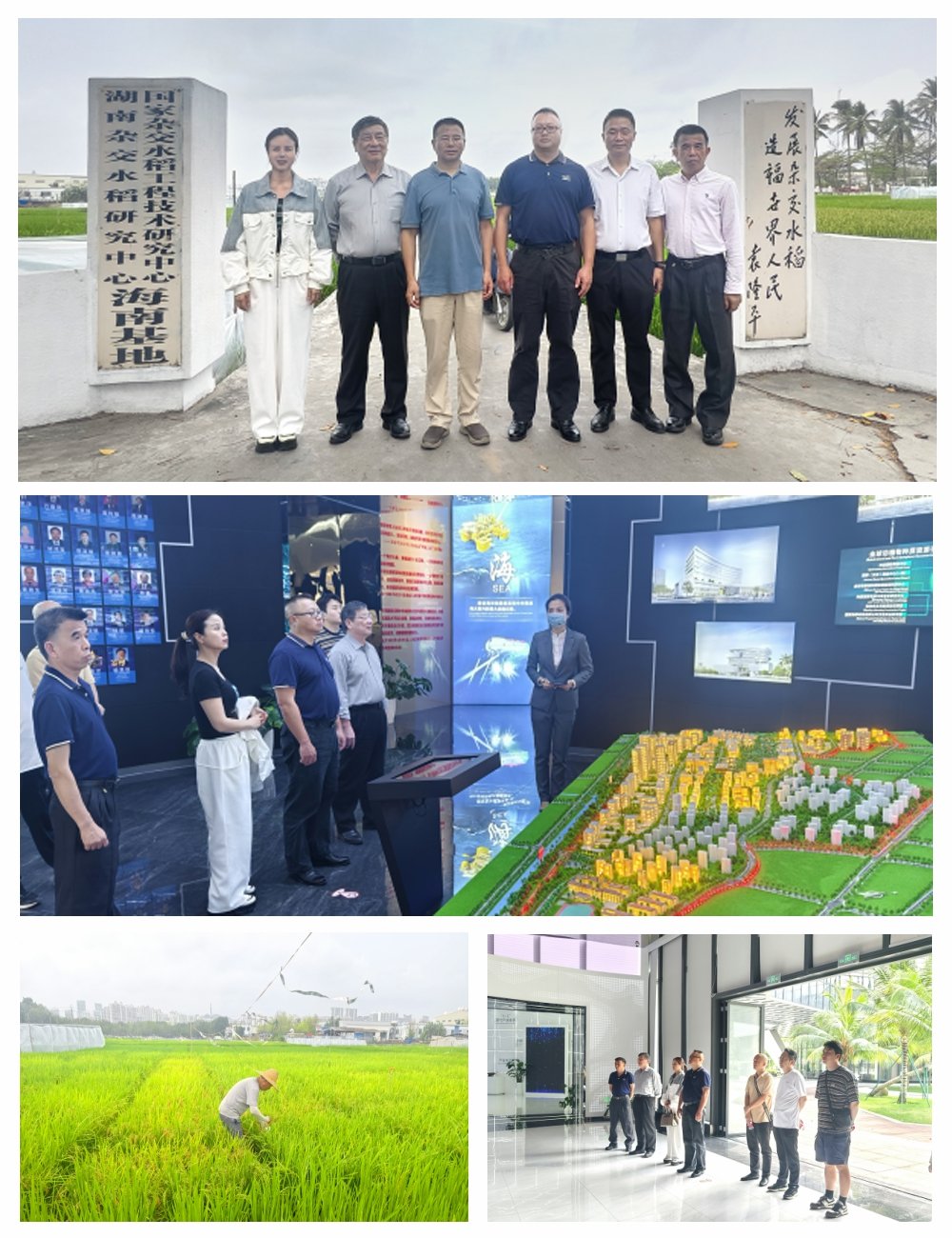 必发7790(中国区)电子集团-线上平台登录入口