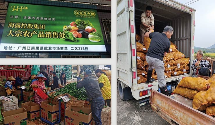 必发7790(中国区)电子集团-线上平台登录入口