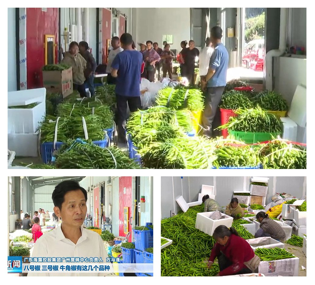 必发7790(中国区)电子集团-线上平台登录入口