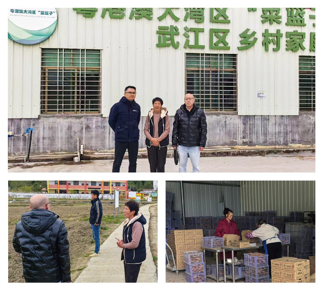 必发7790(中国区)电子集团-线上平台登录入口