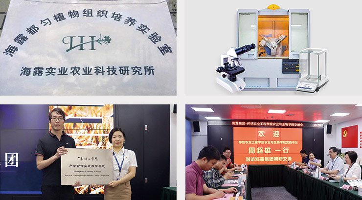 必发7790(中国区)电子集团-线上平台登录入口