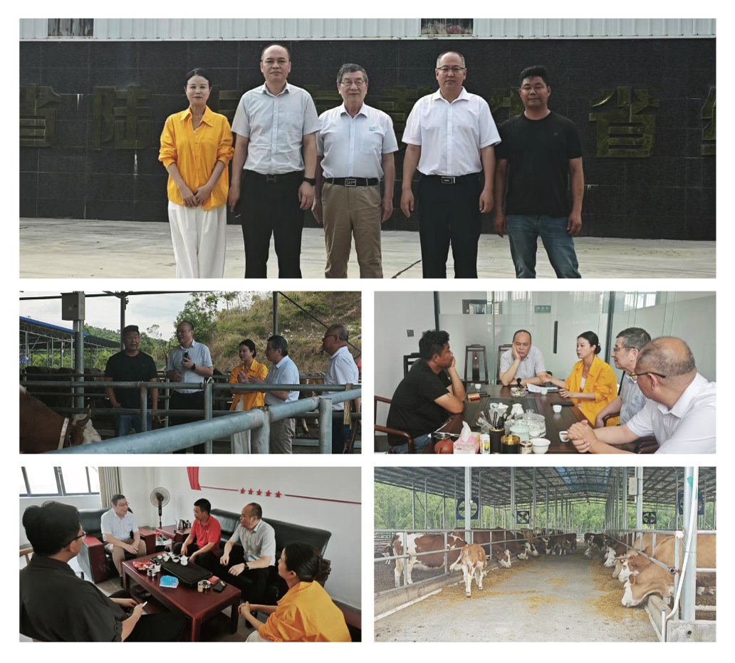 必发7790(中国区)电子集团-线上平台登录入口