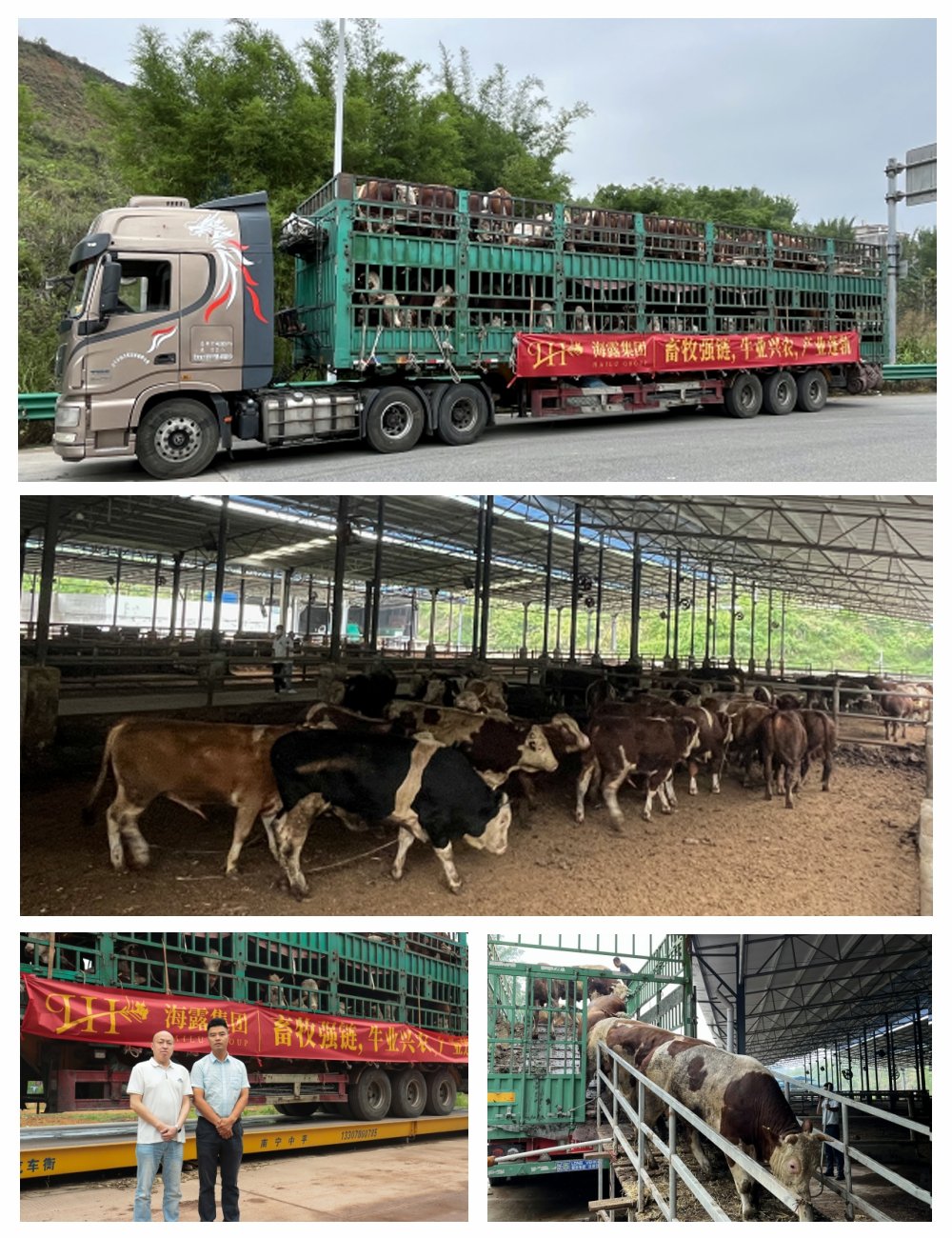 必发7790(中国区)电子集团-线上平台登录入口