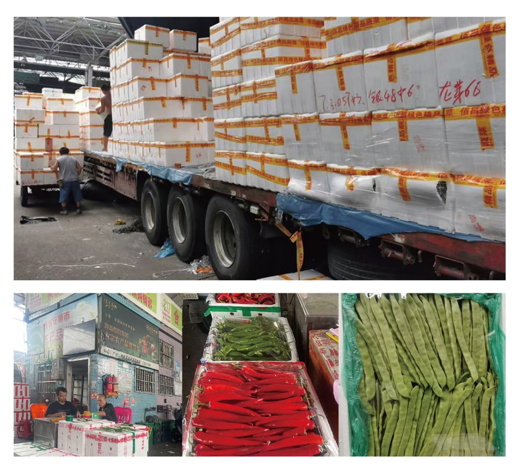 必发7790(中国区)电子集团-线上平台登录入口