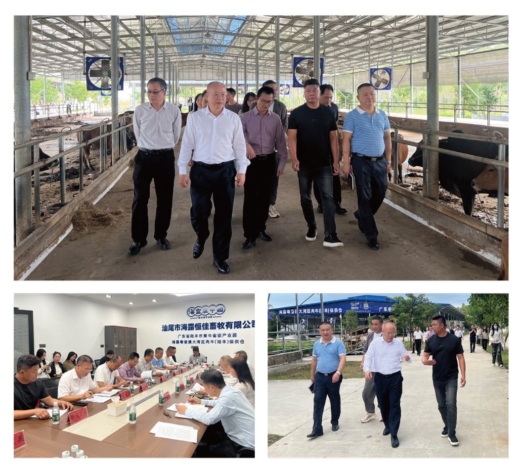 必发7790(中国区)电子集团-线上平台登录入口