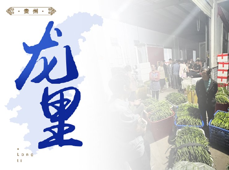 必发7790(中国区)电子集团-线上平台登录入口